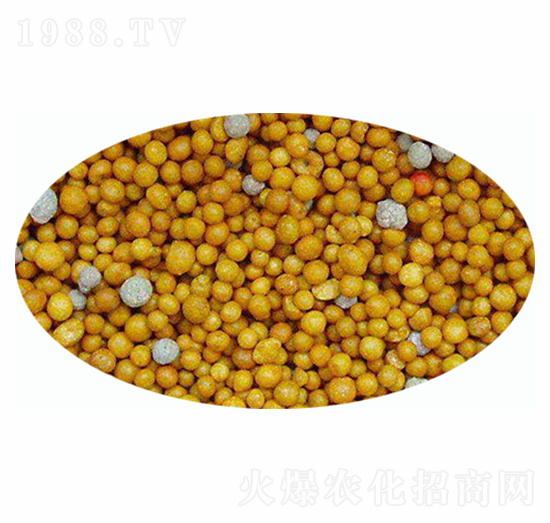 ��֬����-�����r(n��ng)�I(y��)