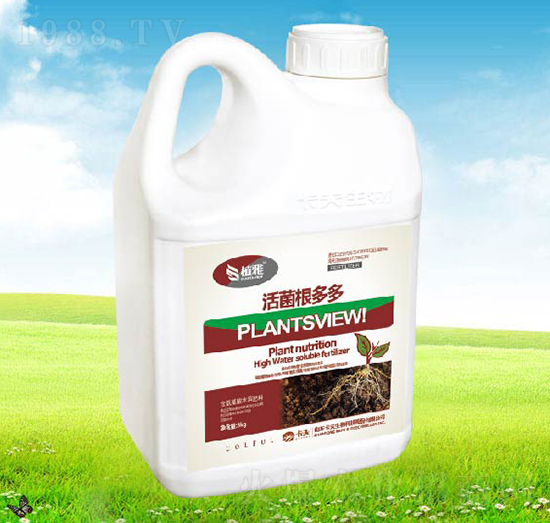 ��������-������