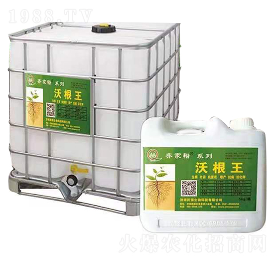 �ָ���-�R��ԣ-������