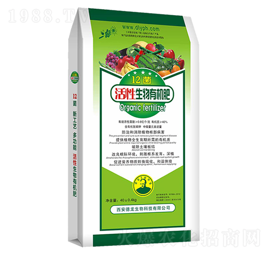 12�������ЙC(j��)��-����-��������