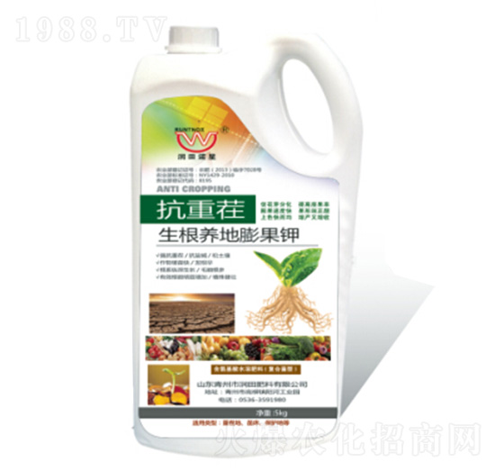 ���ز�-�����B(y��ng)������-��(r��n)�����