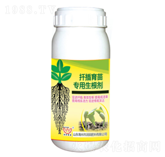 ���猣��������-�������