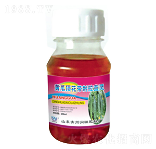 �S��픻�������ֱ�`-��(r��n)�����