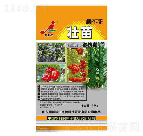 ����ò���-��������