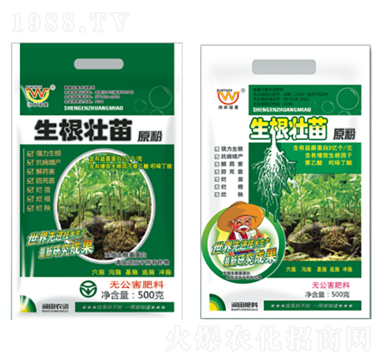 ��������ԭ��-�������