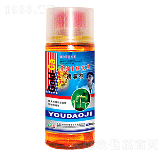 �T����-�|���S