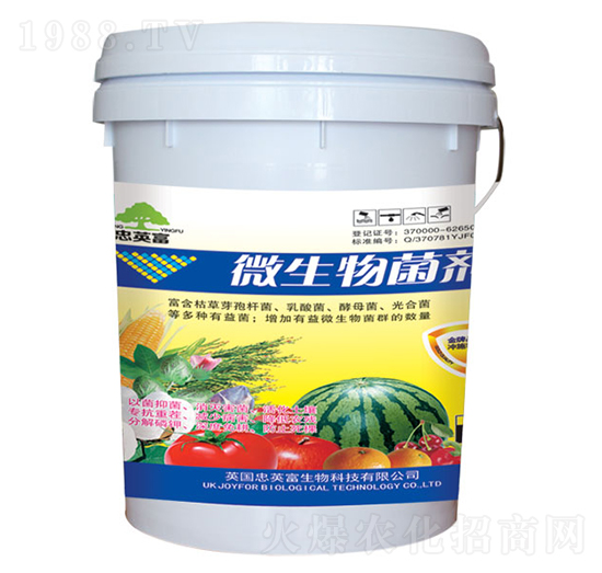 ΢�������-�|���S