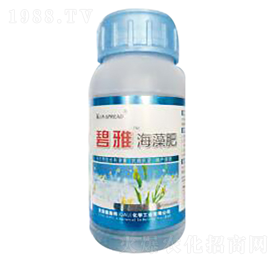 �����-��ʩ��