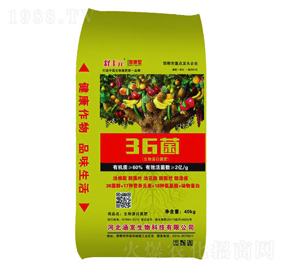 ��SԪ36��-���l(f��)����