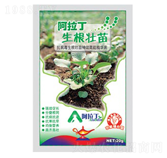 ���������-������