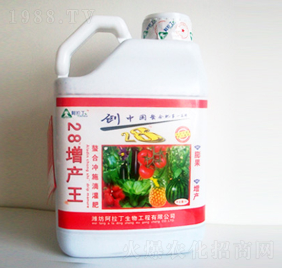 ���a(ch��n)�����V�V��-������