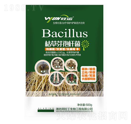 �ݲ�ѿ�ߗU��-������