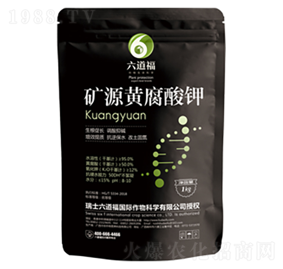 �VԴ�S�����-������