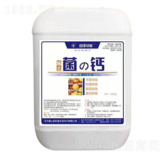 ϡ�����}-�����