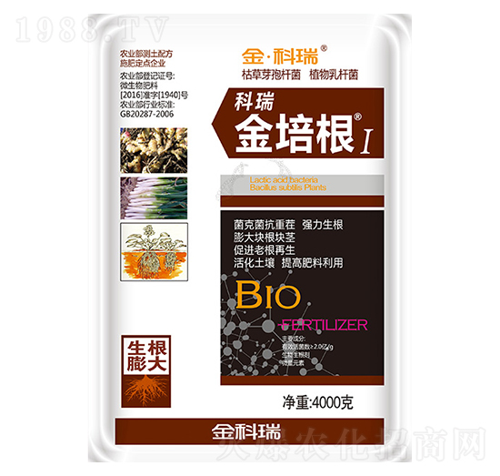 �����1̖-�����