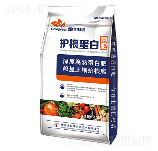 �o�����׾���-�����