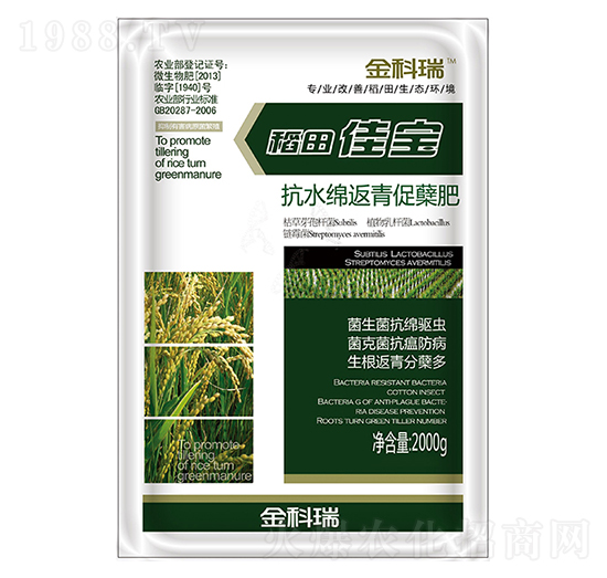 ����ь�-�����