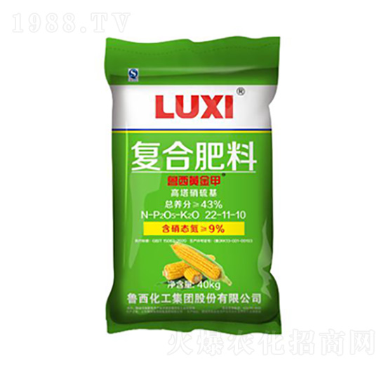 �����S��׸���������ͺϷ���22-11-10-��������