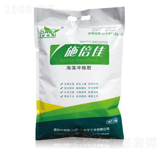 ����_ʩ��-ʩ����-��ʩ��