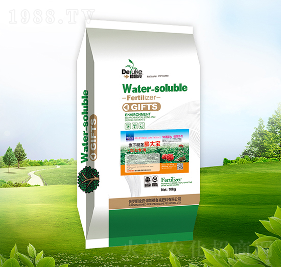 ���¸��o���-������