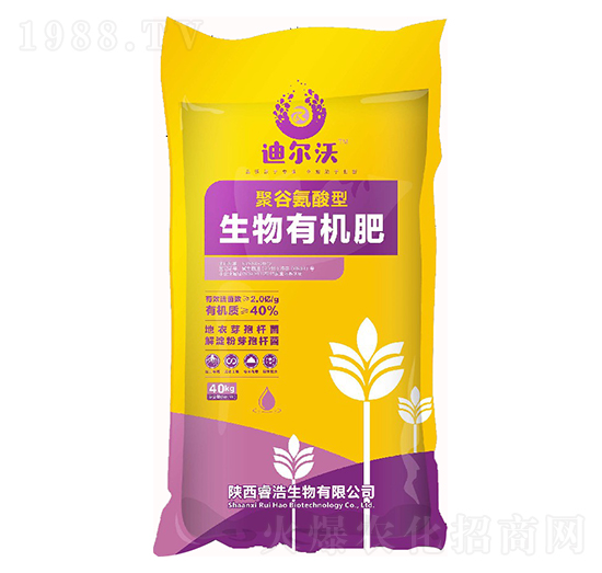 2�|�۹Ȱ����������ЙC��-�Ϡ���-�