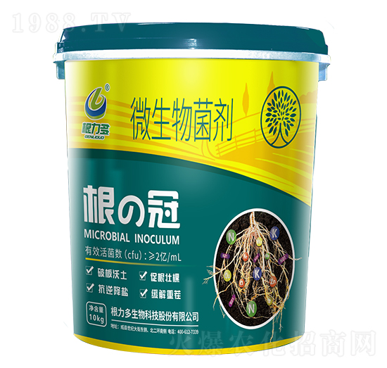 ΢�������-���ι�-������