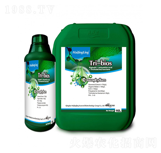 TRI-BIOSҺ�w����-�L�`