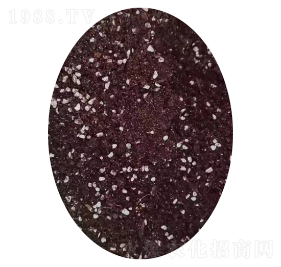 �����ЙC(j��)�ʣ��w����-�����r(n��ng)�I(y��)