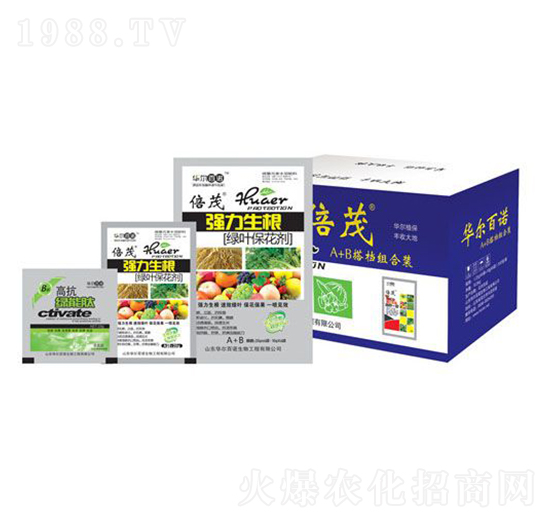 ���������G�~������-�A�����Z