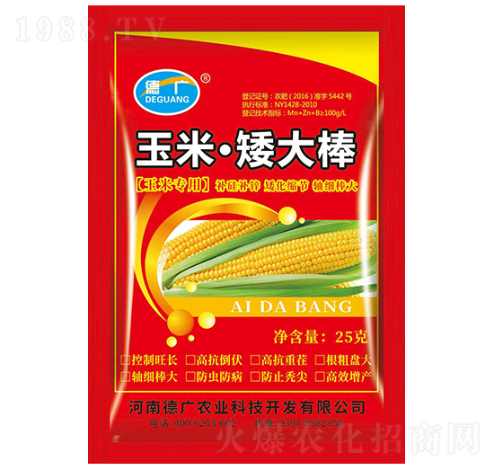 ���ס������-�V-����ԥ��