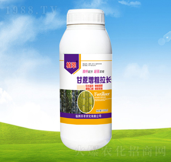 �����������L-ֲ��-�S�r�r��