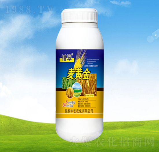 ���S��-ֲ��-�S�r(n��ng)�r(n��ng)��