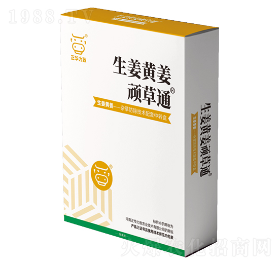 �����S���B��ͨ-���A����