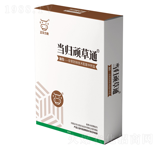 ���w�B��ͨ-���A����