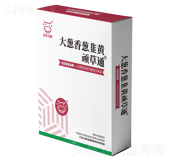 ���[�����[�����S�B��ͨ-���A����