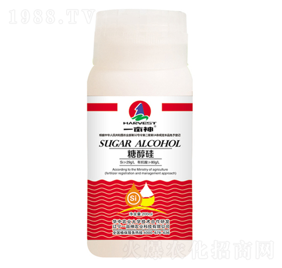 �Ǵ���-һ����