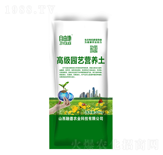 �߼�(j��)�@ˇ�I(y��ng)�B(y��ng)��-���ɵ�-�ڵ��r(n��ng)�I(y��)