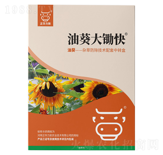 �Ϳ����z��-���A����