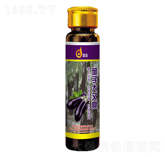 ���Ӵ�����-���_(d��)����