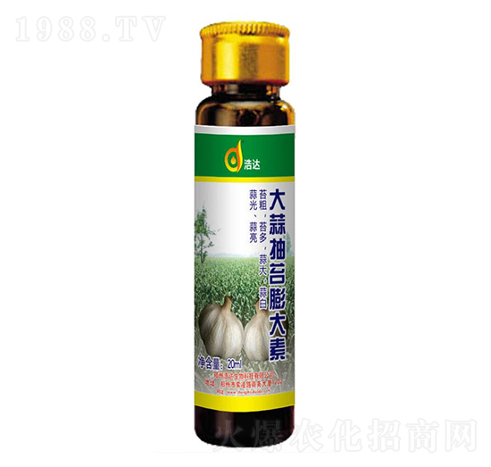 ������_�����-���_(d��)����