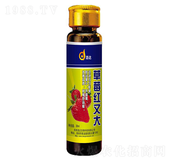 ��ݮ�t�ִ�-���_����