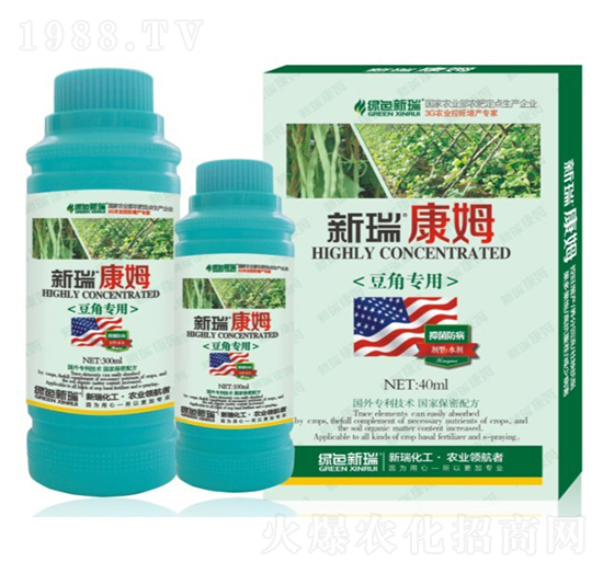 ���ǌ����~���-����