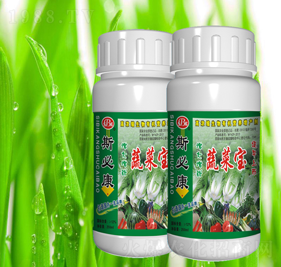 �߲ˌ�-˹�ؿ�