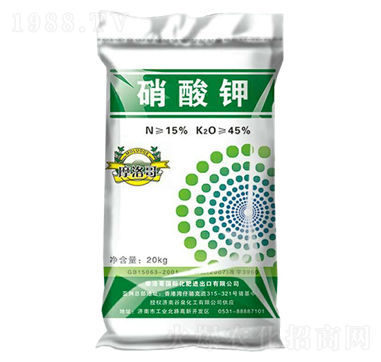 �����-��Ȫ����