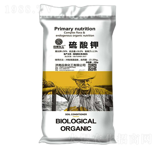 �����-��Ȫ����