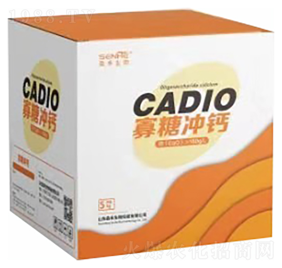 ���Ǜ_�}-ɭ������