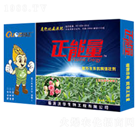 ������ľ�����������L�������ф�-������