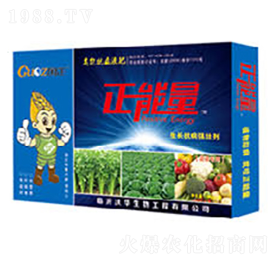 �߲ˌ������L�������ф�-������