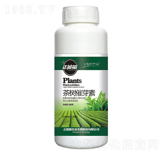 ����ѿ��-������