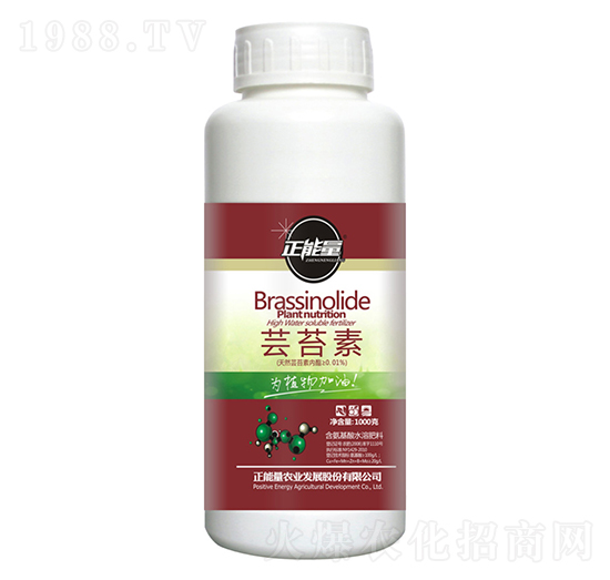 �|̦��-������